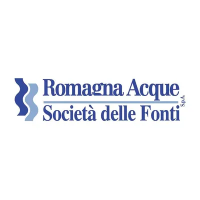 romagnacque.it's icon