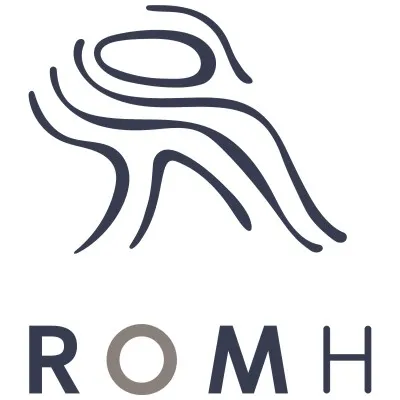 romh.co.za's icon
