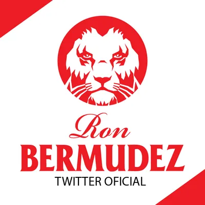 ronbermudez.com's icon
