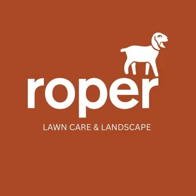roperlawncarememphis.com's icon