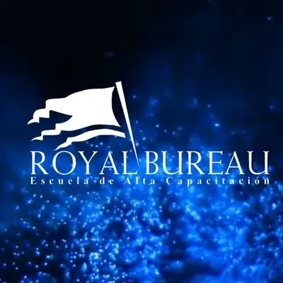 royalbureau.com.gt's icon
