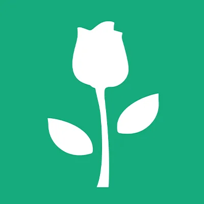 rtl.org's icon