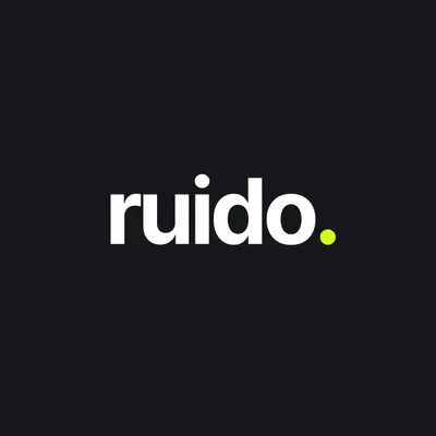 ruidonetworks.com's icon
