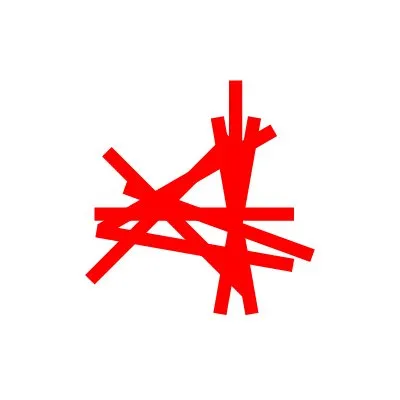 saalbach2025.com's icon