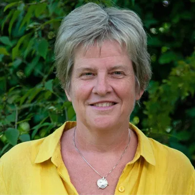 sabaaydi.nl's icon