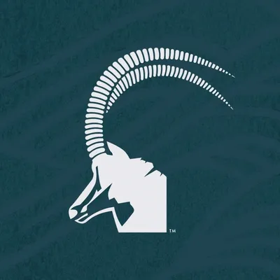 sableflow.com's icon