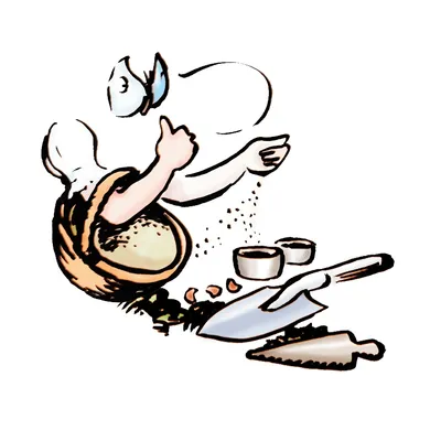 saemereien.ch's icon