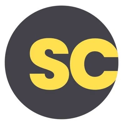 safecitying.com's icon