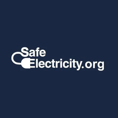 safeelectricity.org's icon