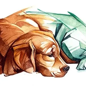 safepetanesthesia.com's icon