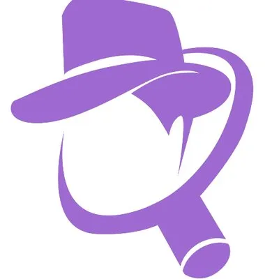 safetydetectives.com's icon
