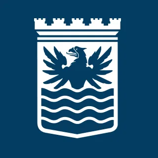saffle.se's icon