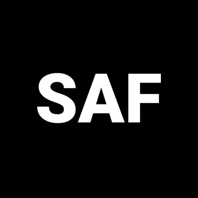 safstudio.lt's icon
