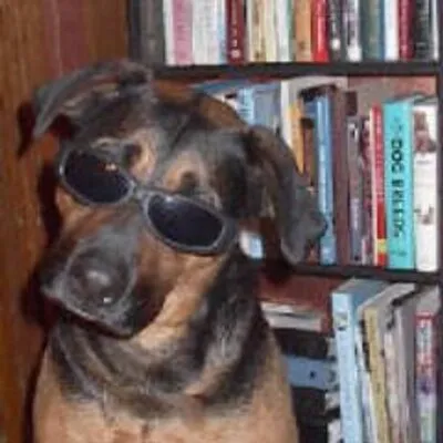 sagedawg.com's icon