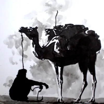 sahara-holiday.com's icon