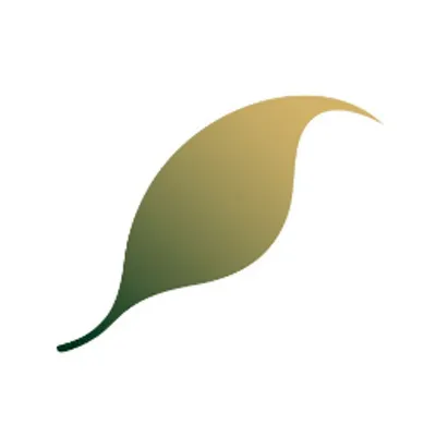 saharaforestproject.com's icon