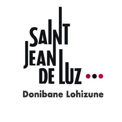 saintjeandeluz.fr's icon