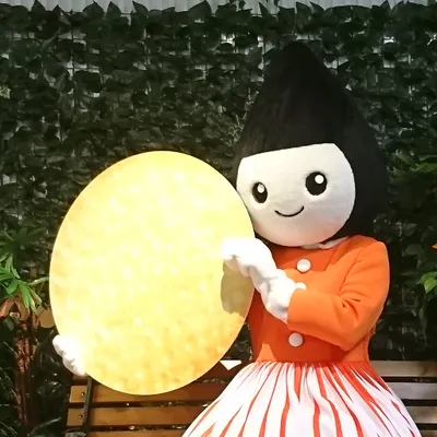 sakatabeika.co.jp's icon