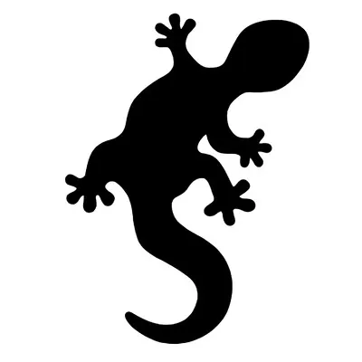 salamandrasolutions.com's icon