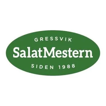 salatmestern.no's icon