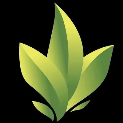 salehtejarat.com's icon