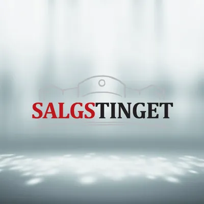 salgstinget.no's icon