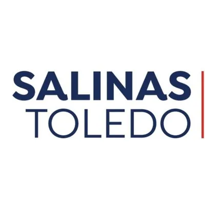salinastoledo.com's icon