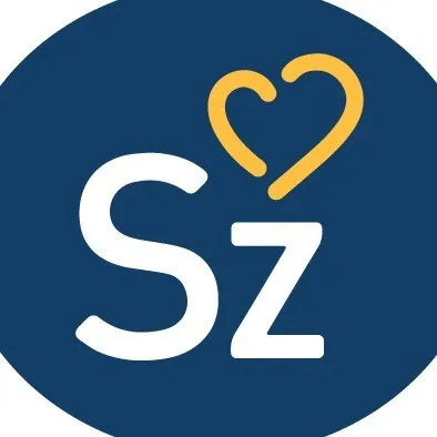 salland.nl's icon