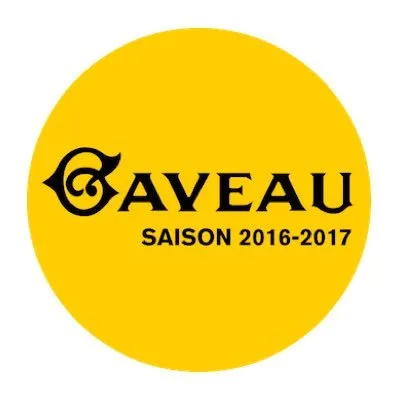 sallegaveau.com's icon