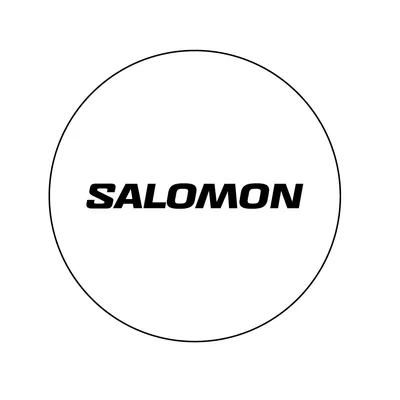Salomon's icon