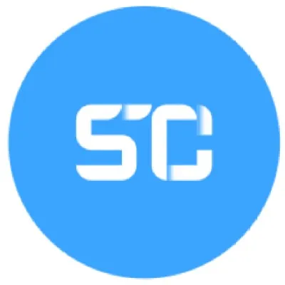 saltech-consulting.com's icon