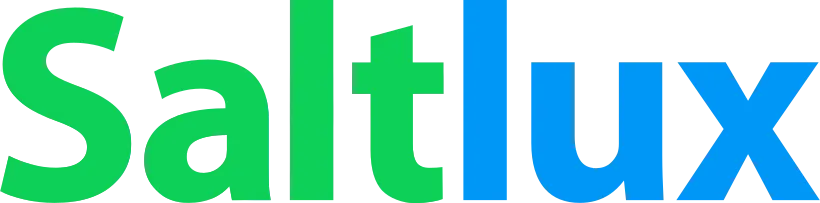 솔트룩스 logo