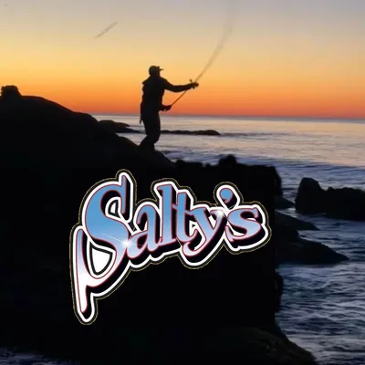 saltwaterplugs.com's icon
