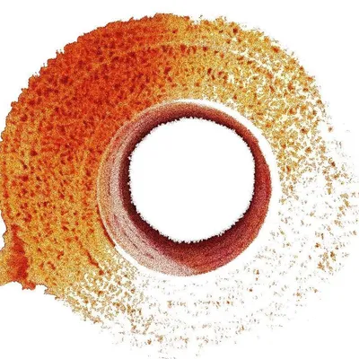 saltwrap.com's icon