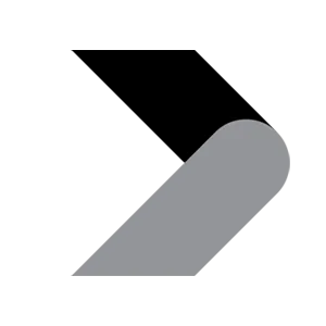 salute.com's icon