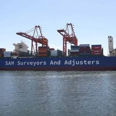 samsurvey.com's icon