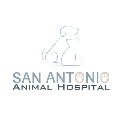 sanantoniovets.com's icon