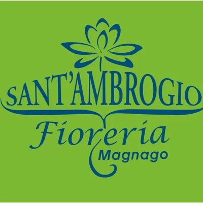 santambrogioservizi.com's icon