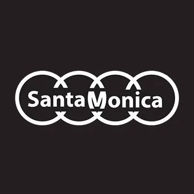 santamonicaaudi.com's icon