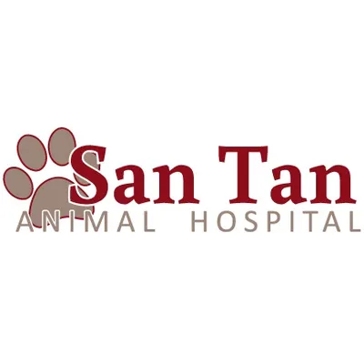 santanvet.com's icon