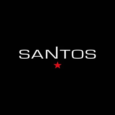 santosgrills.de's icon
