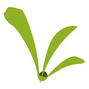sapulut.com.my's icon