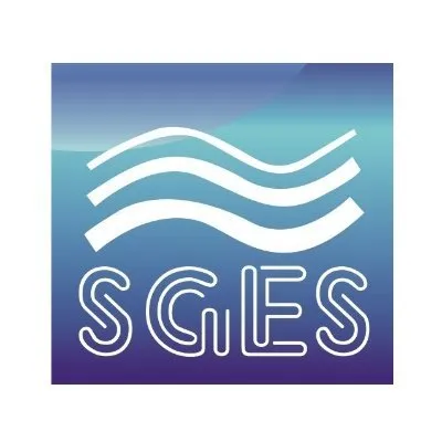 sarathygeotech.com's icon