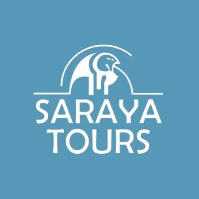 sarayatours.es's icon