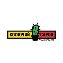 sarov.info's icon