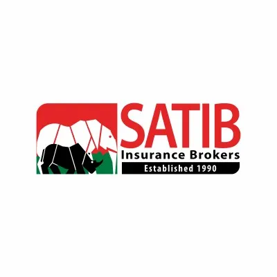 satib.co.zw's icon