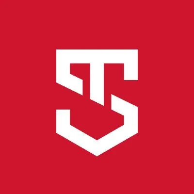 savunmasanayist.com's icon