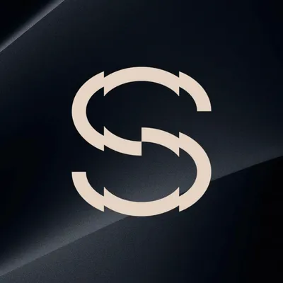 sayconcepts.com's icon