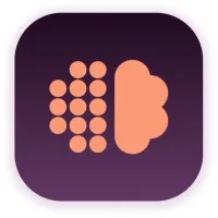sayvant.com's icon