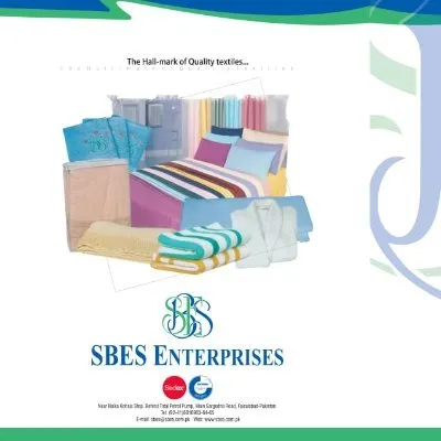 sbes.com.pk's icon